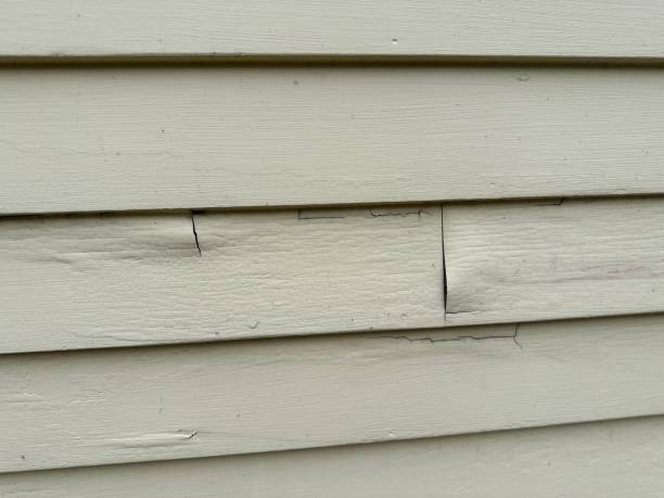 Best Shed Removal  in East Norwich, NY